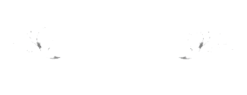 Minster Stone Light Logo